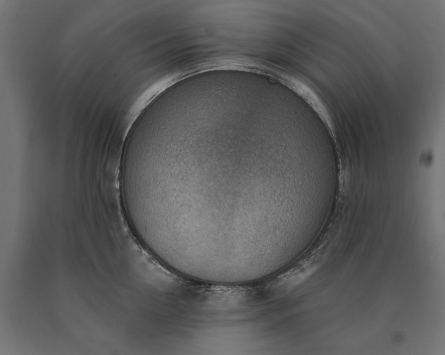 X0000090730954200708031520