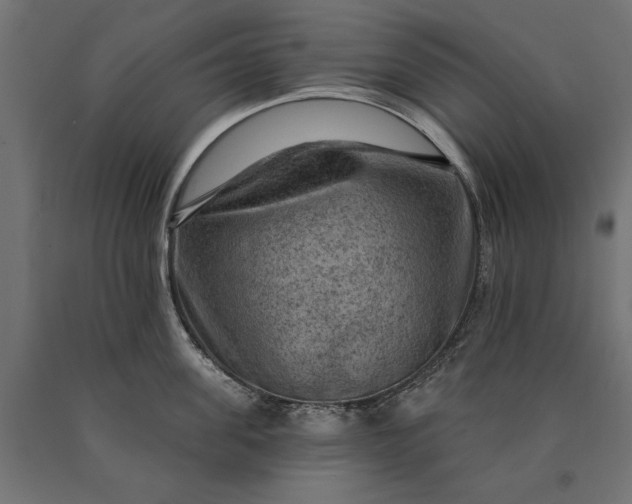 X0000090730955200708031520