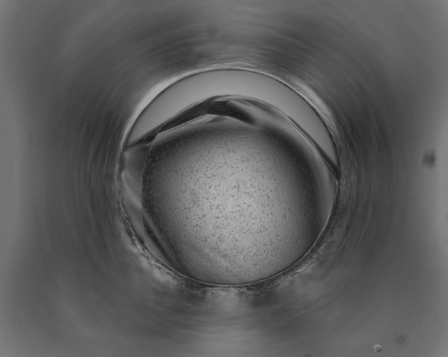 X0000090730956200708031520