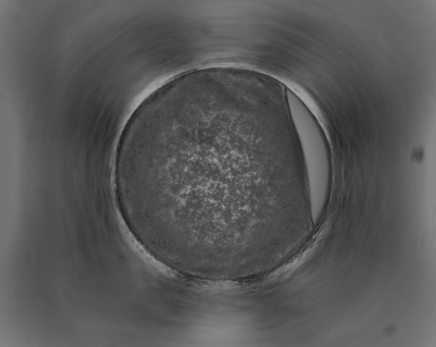 X0000090730957200708031520