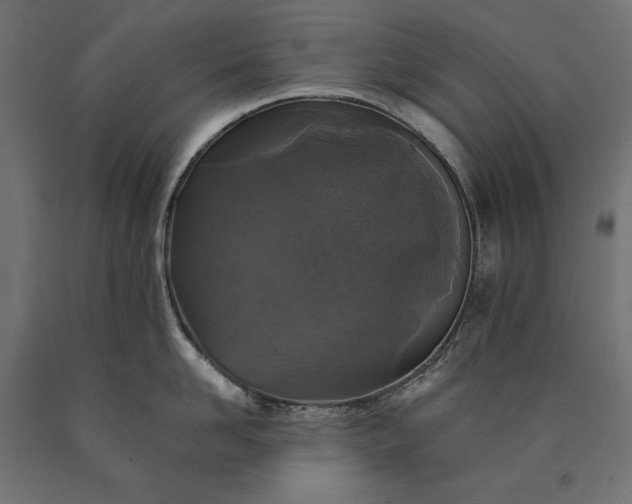 X0000090730958200708031520