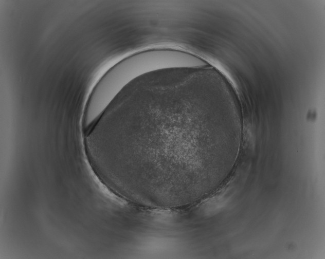 X0000090730959200708031520