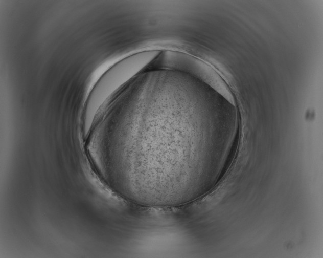 X0000090730960200708031520