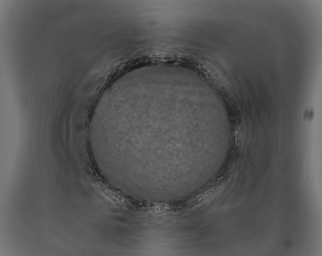 X0000090730961200708031520