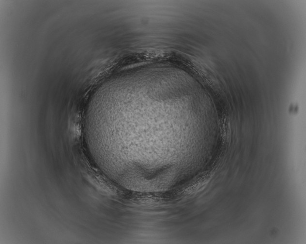 X0000090730962200708031520