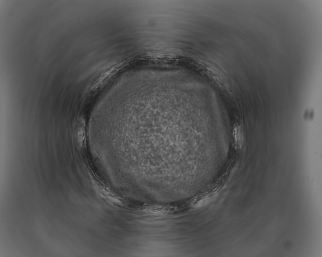 X0000090730963200708031520