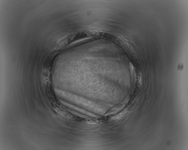 X0000090730964200708031520