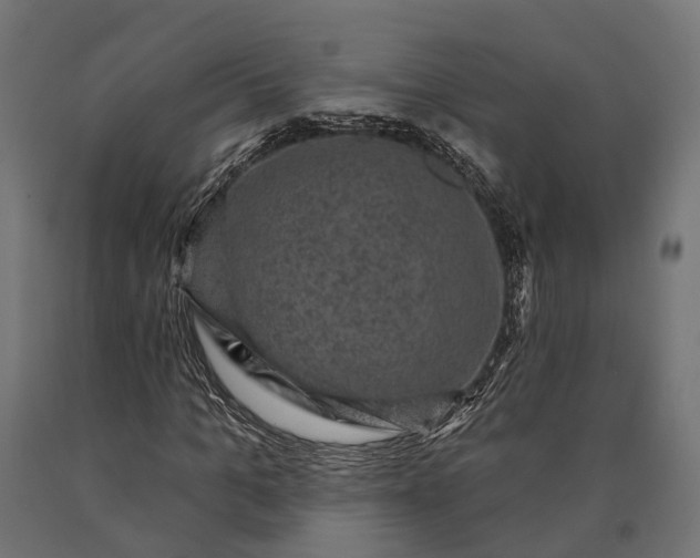 X0000090730965200708031520