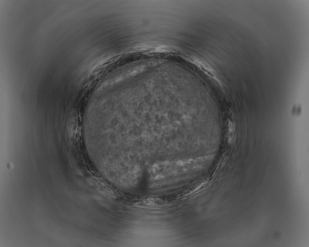 X0000090730966200708031520