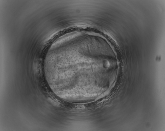 X0000090730968200708031520