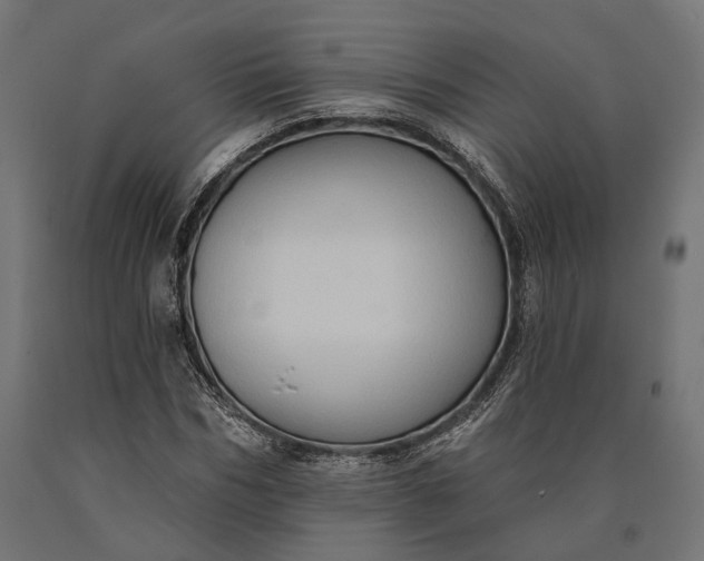 X0000090730970200708031520