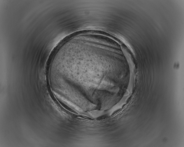 X0000090730972200708031519