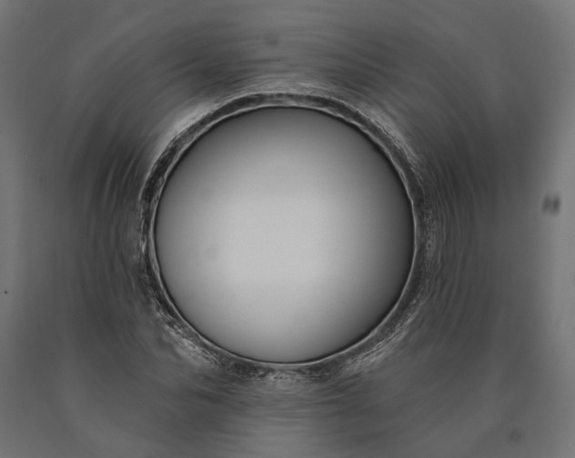 X0000090730974200708031519