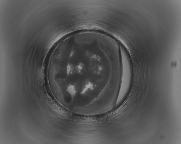 X0000090730975200708031519