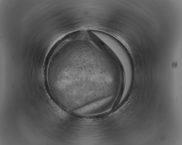 X0000090730976200708031519