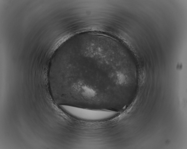 X0000090730977200708031519