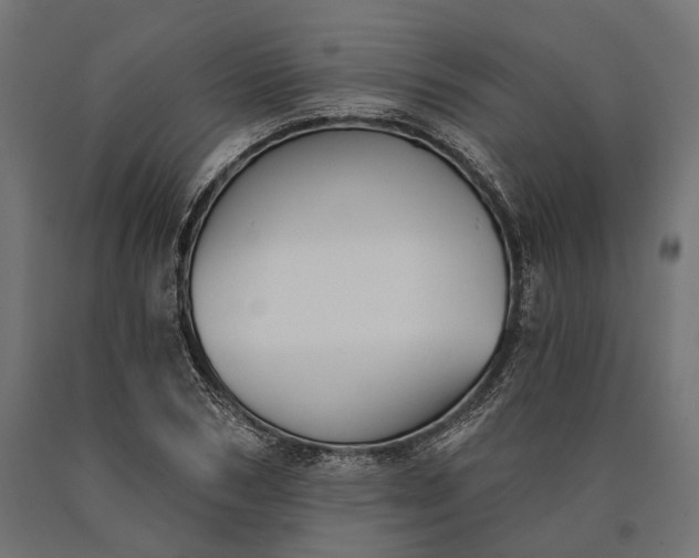 X0000090730978200708031519