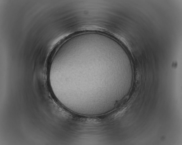 X0000090730979200708031519