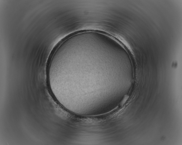 X0000090730980200708031519