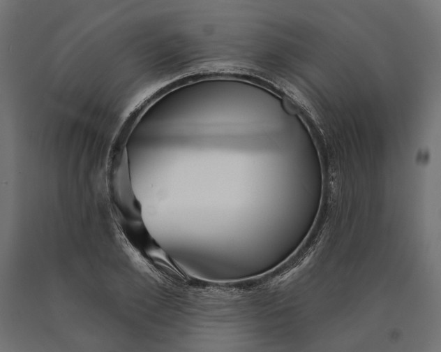 X0000090730981200708031519