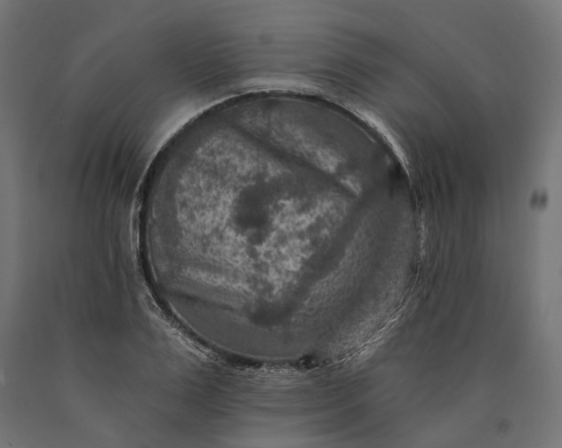 X0000090730983200708031519