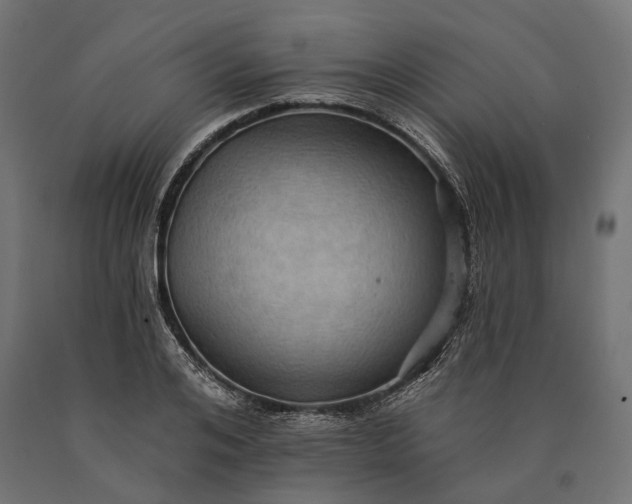 X0000090730984200708031519