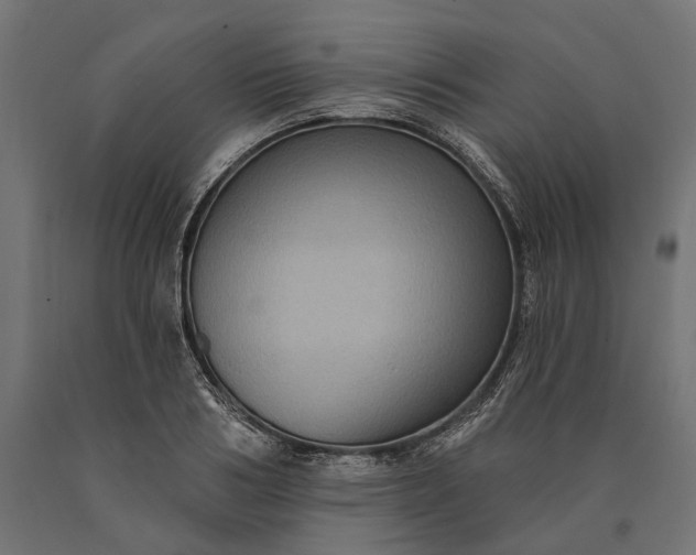 X0000090730986200708031519