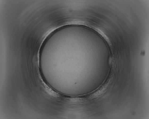 X0000090730988200708031519