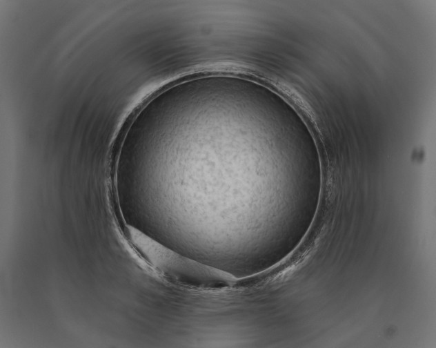 X0000090730989200708031519