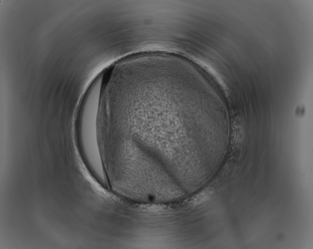 X0000090730991200708031519