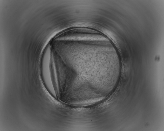 X0000090730992200708031519