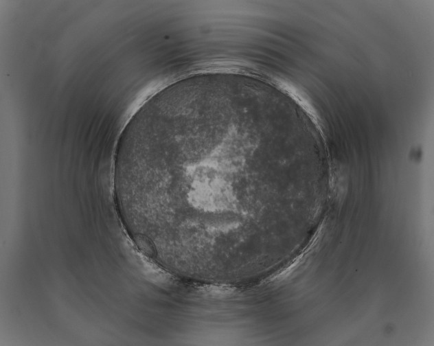 X0000090730994200708031519