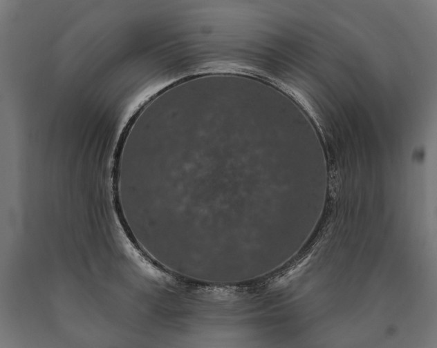 X0000090730995200708031519