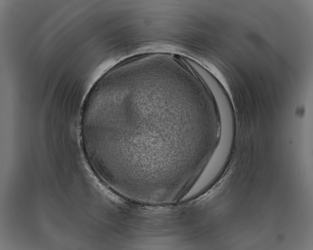 X0000090730997200708031519