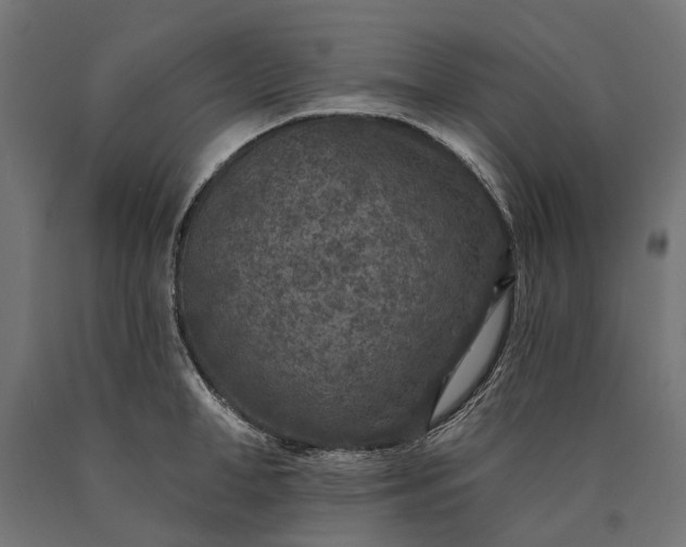 X0000090730998200708031519