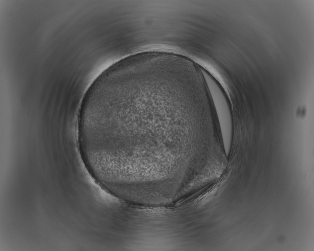 X0000090730999200708031519