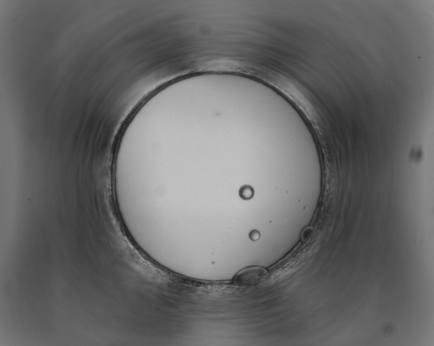 X0000090731000200708031519