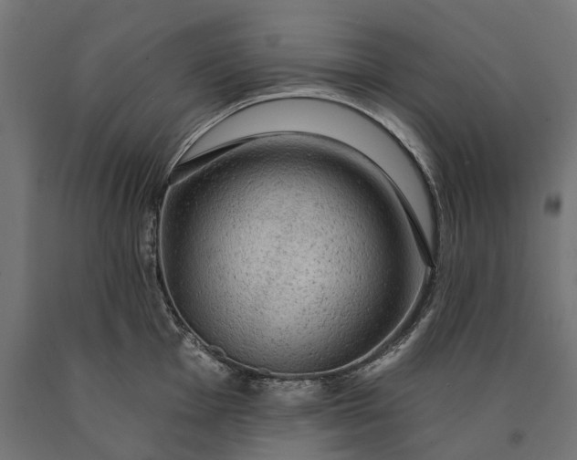 X0000090731001200708031519