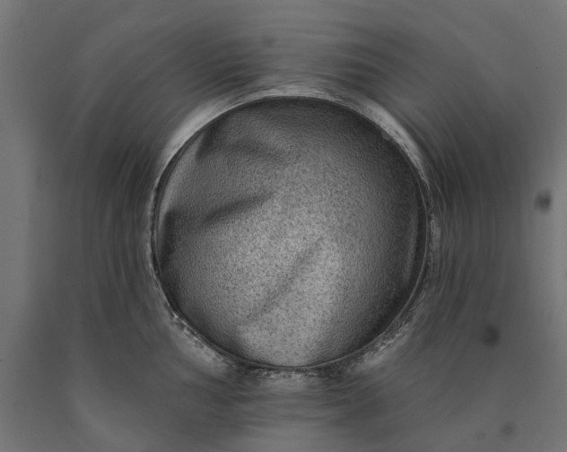 X0000090731002200708031519