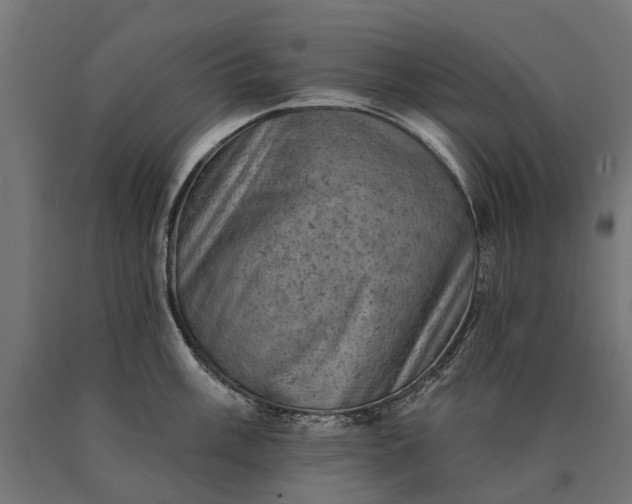 X0000090731003200708031519