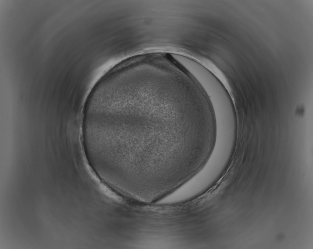 X0000090731005200708031519