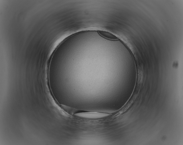 X0000090731006200708031519