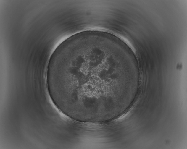 X0000090731007200708031519