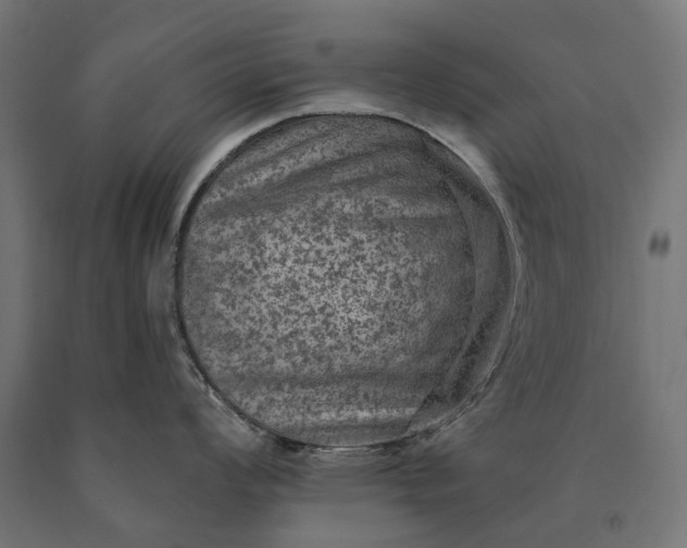 X0000090731008200708031519