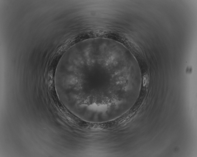 X0000090731011200708031518