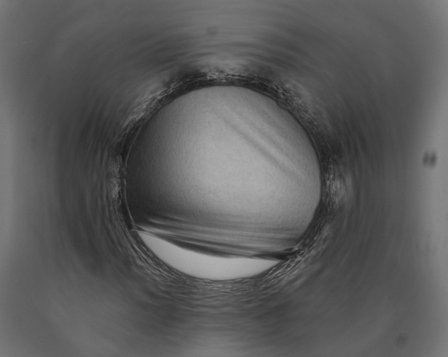 X0000090731012200708031518