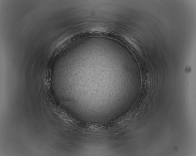 X0000090731015200708031518