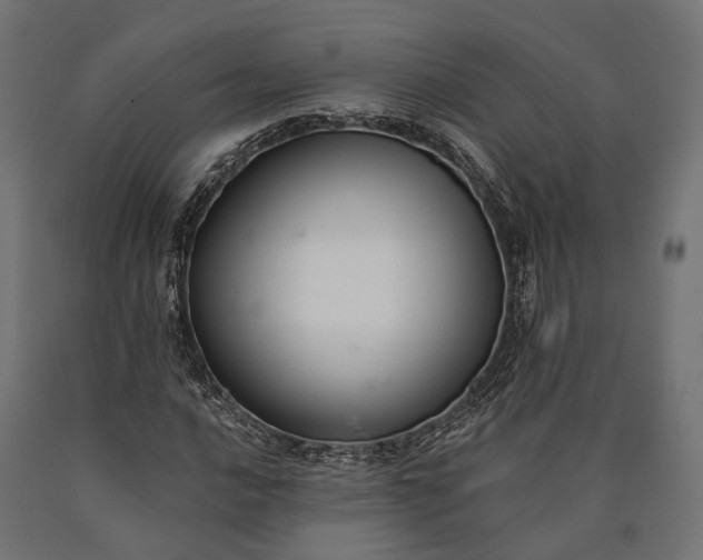 X0000090731016200708031518