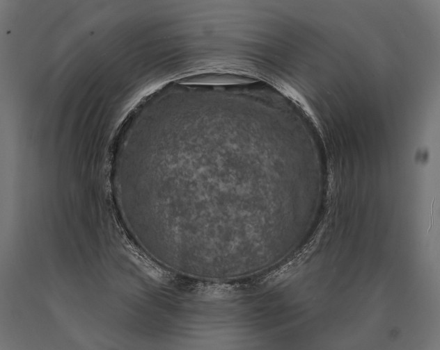 X0000090731019200708031518