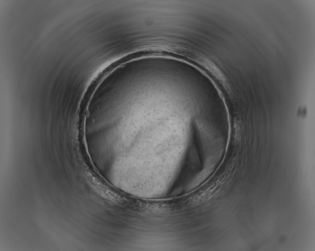 X0000090731020200708031518